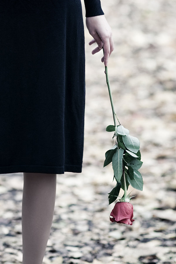 Black Rose 黑玫瑰 (Rose Noir = By Type)