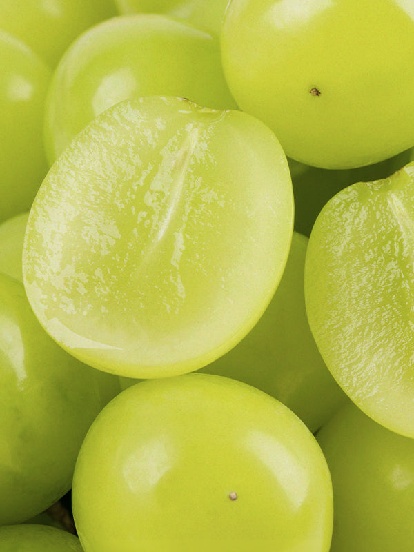Shine Muscat - Green Grapes 綠葡萄