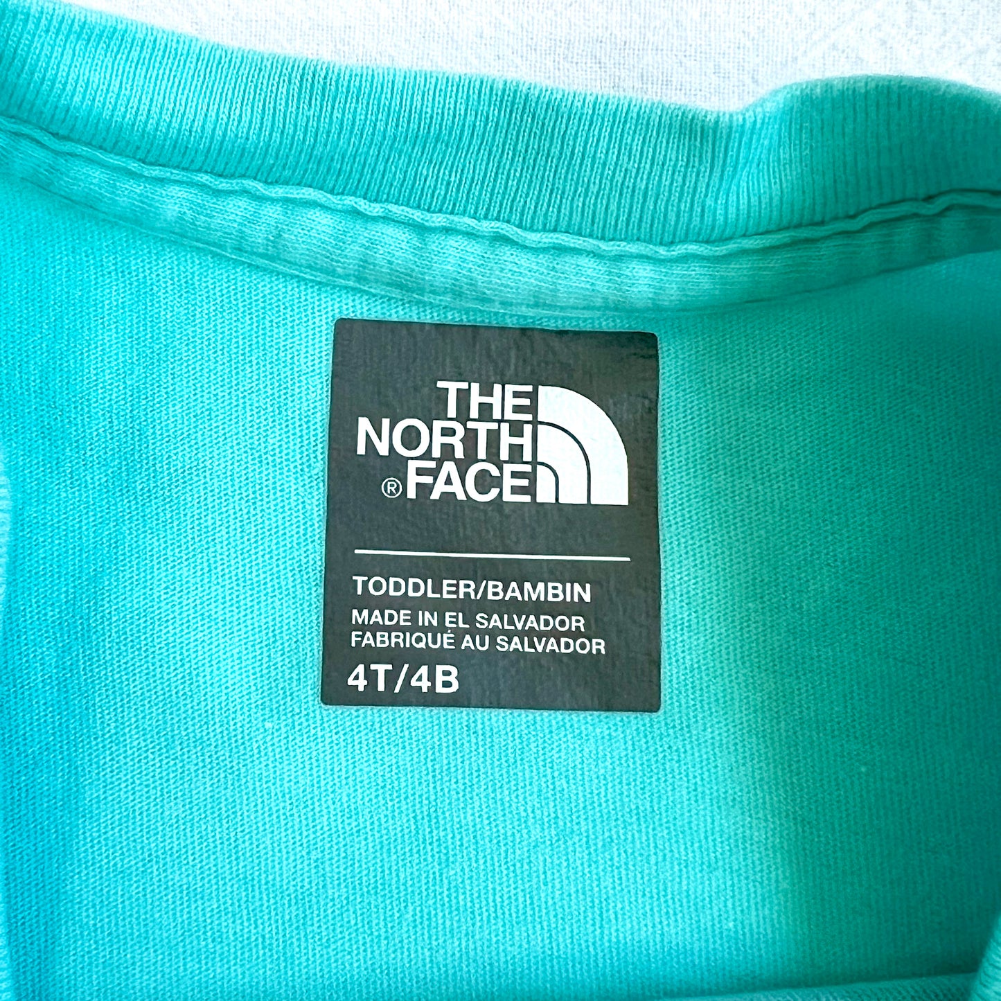 (Pre-loved) The North Face Logo Sky Blue T-Shirt 天藍色短袖衫 3Y