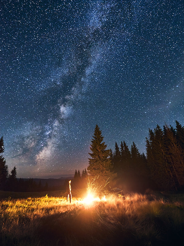 Summer's Starlit Woodfire 夏夜星空下的篝火