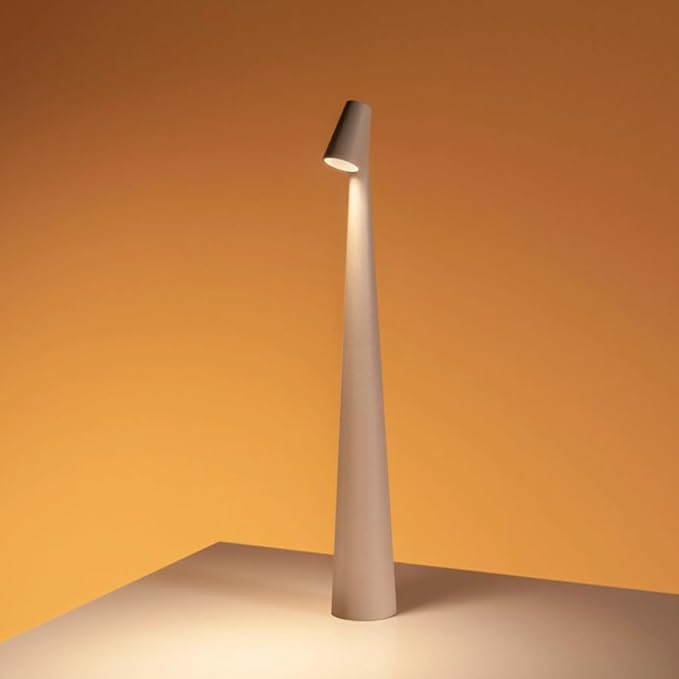 Portable LED Desk Lamp 便攜式LED檯燈