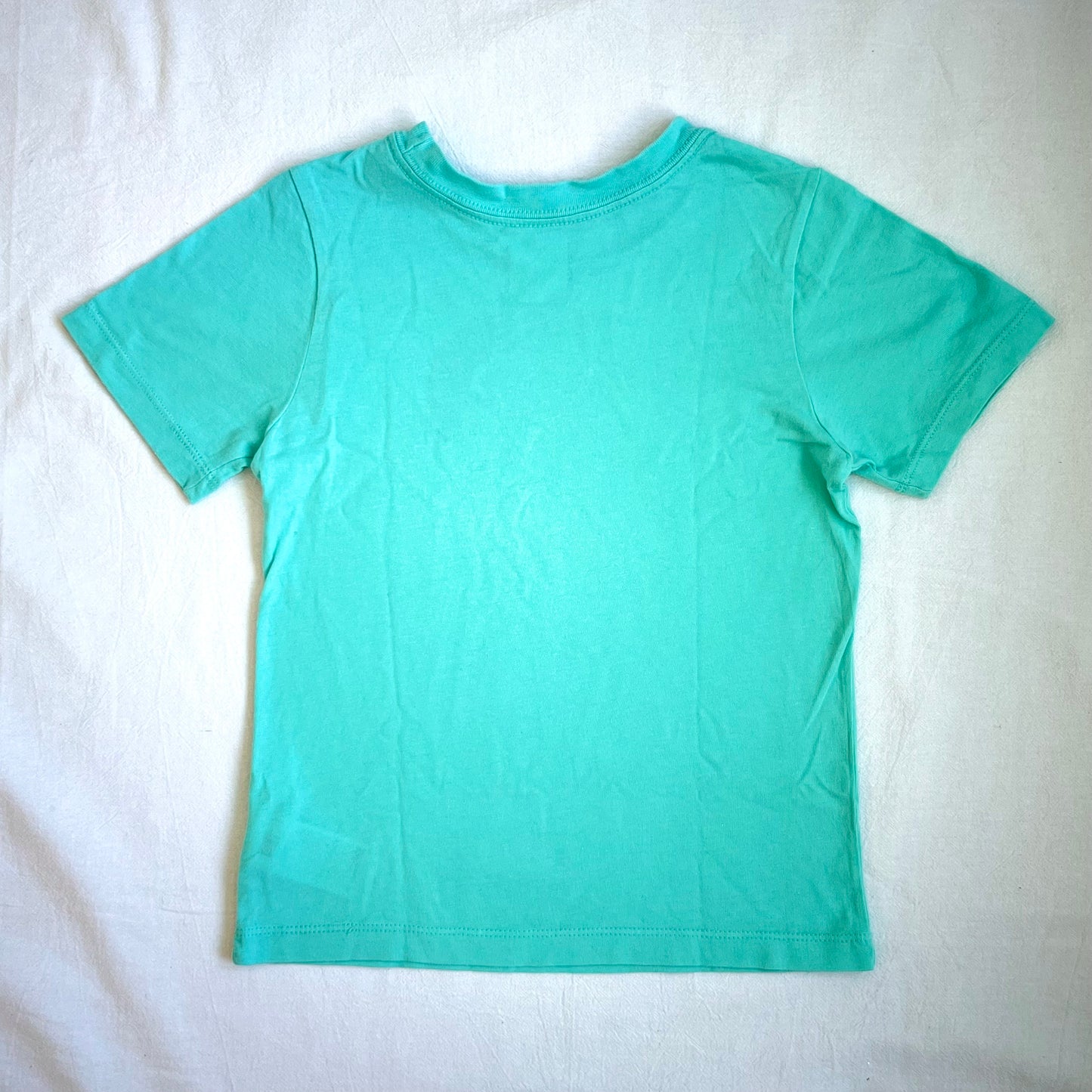 (Pre-loved) The North Face Logo Sky Blue T-Shirt 天藍色短袖衫 3Y