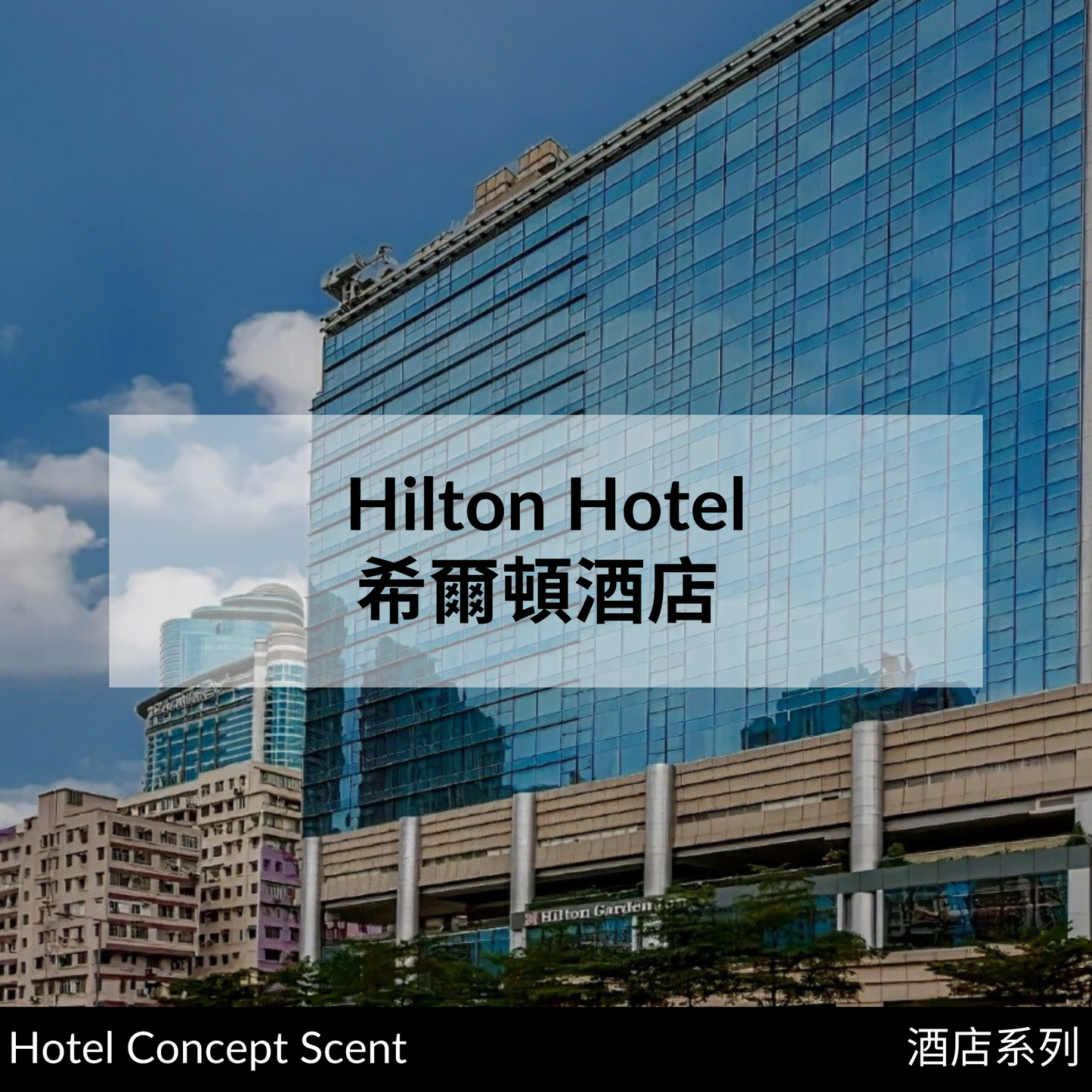Hilton Hotel Scent Diffuser 希爾頓酒店擴香精油 (for Reed Diffuser)
