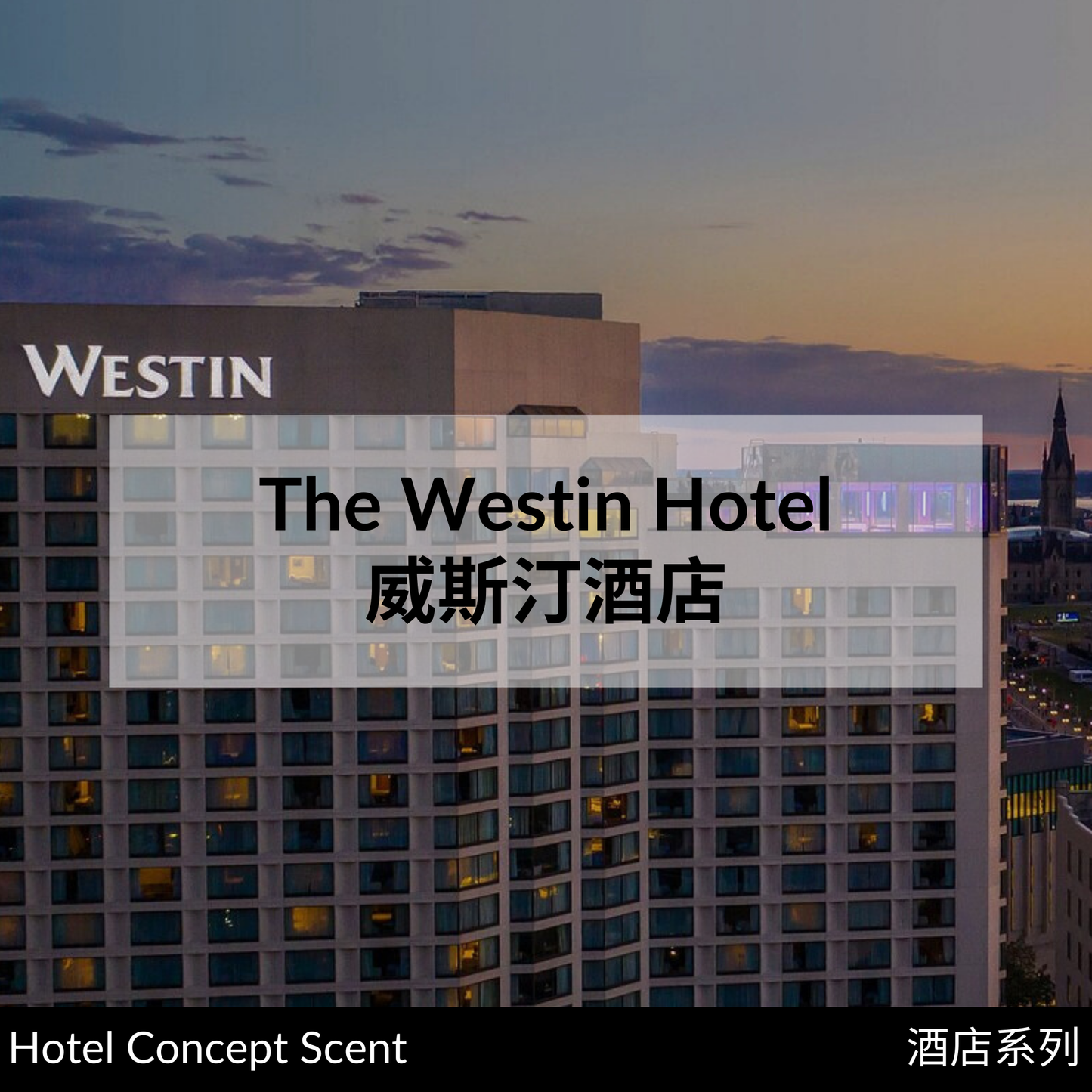 The Westin Hotel (White Tea) Scent Diffuser 威斯汀酒店(白茶)香精油