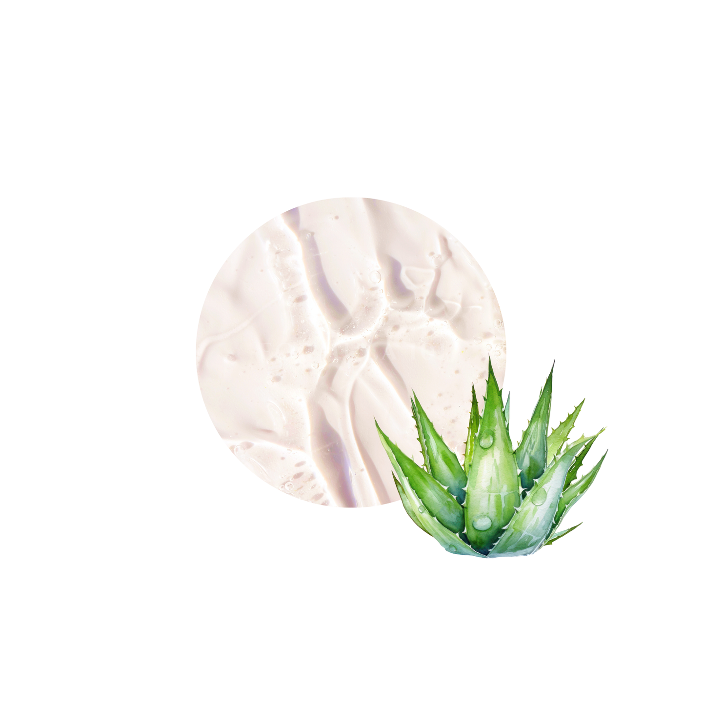 CERTIFIED PLUS® Aloe vera Gel-D 有機蘆薈汁萃取液