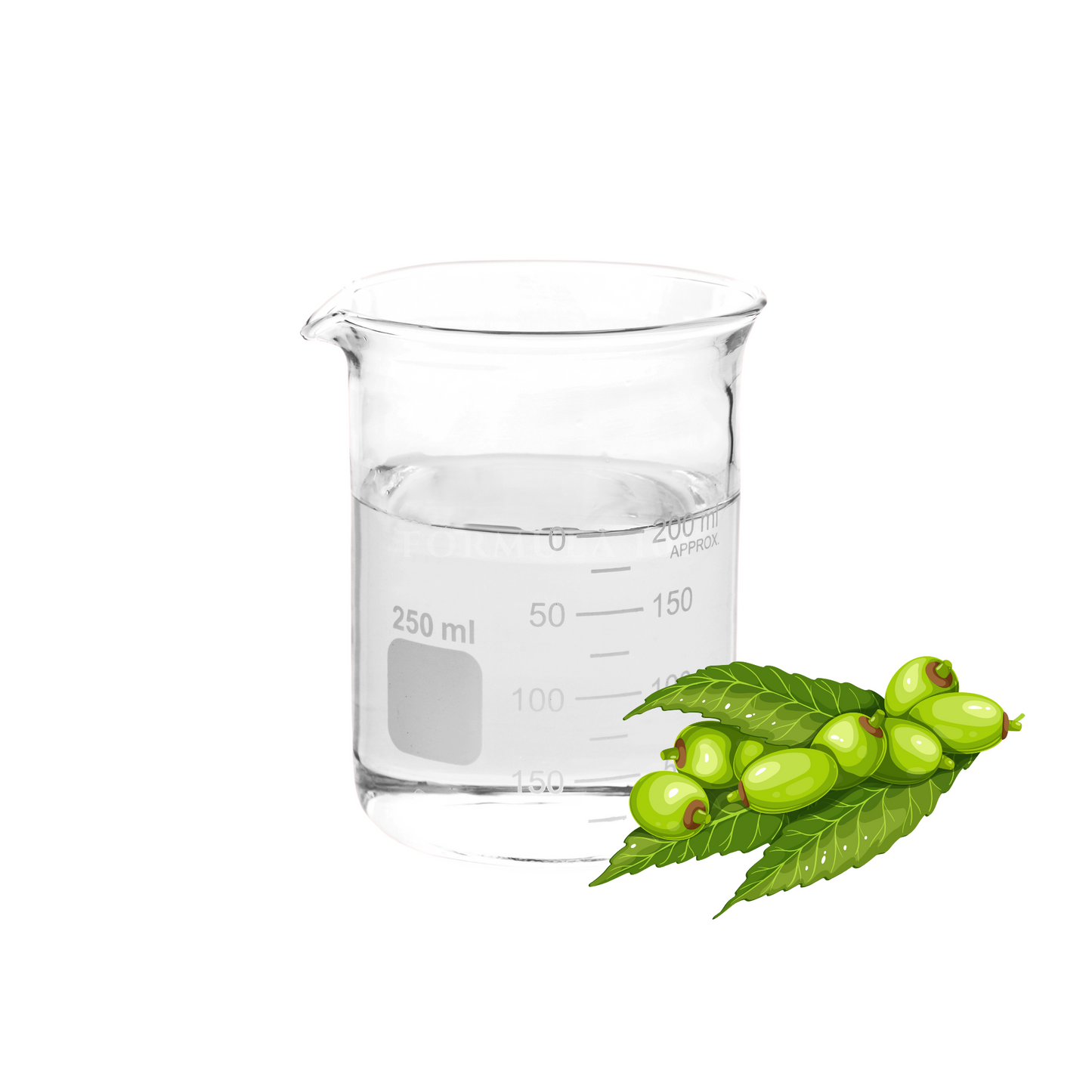 Olivem® 400 天然橄欖油起泡劑 温和陰離子界面活性劑