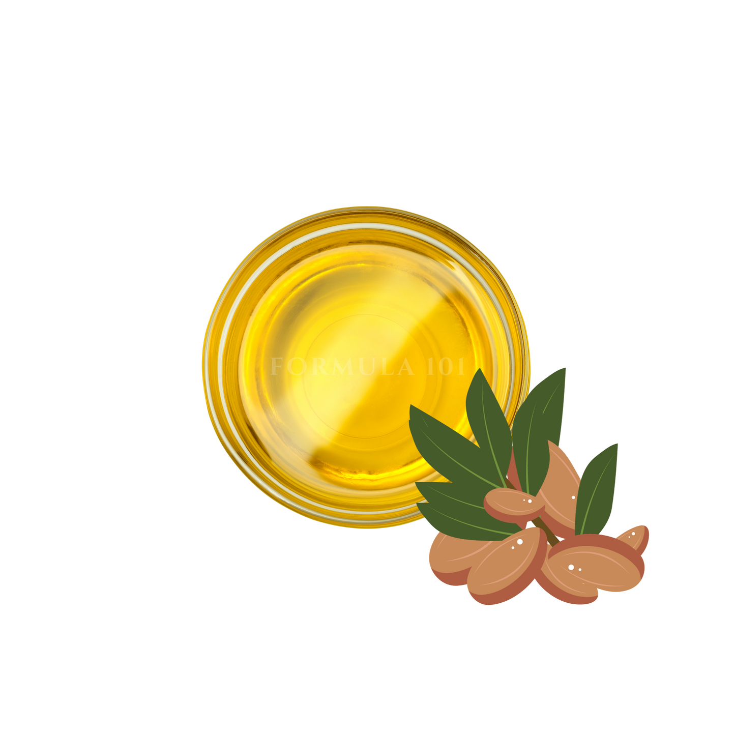 Jojoba Oil 以色列黃金荷荷巴油