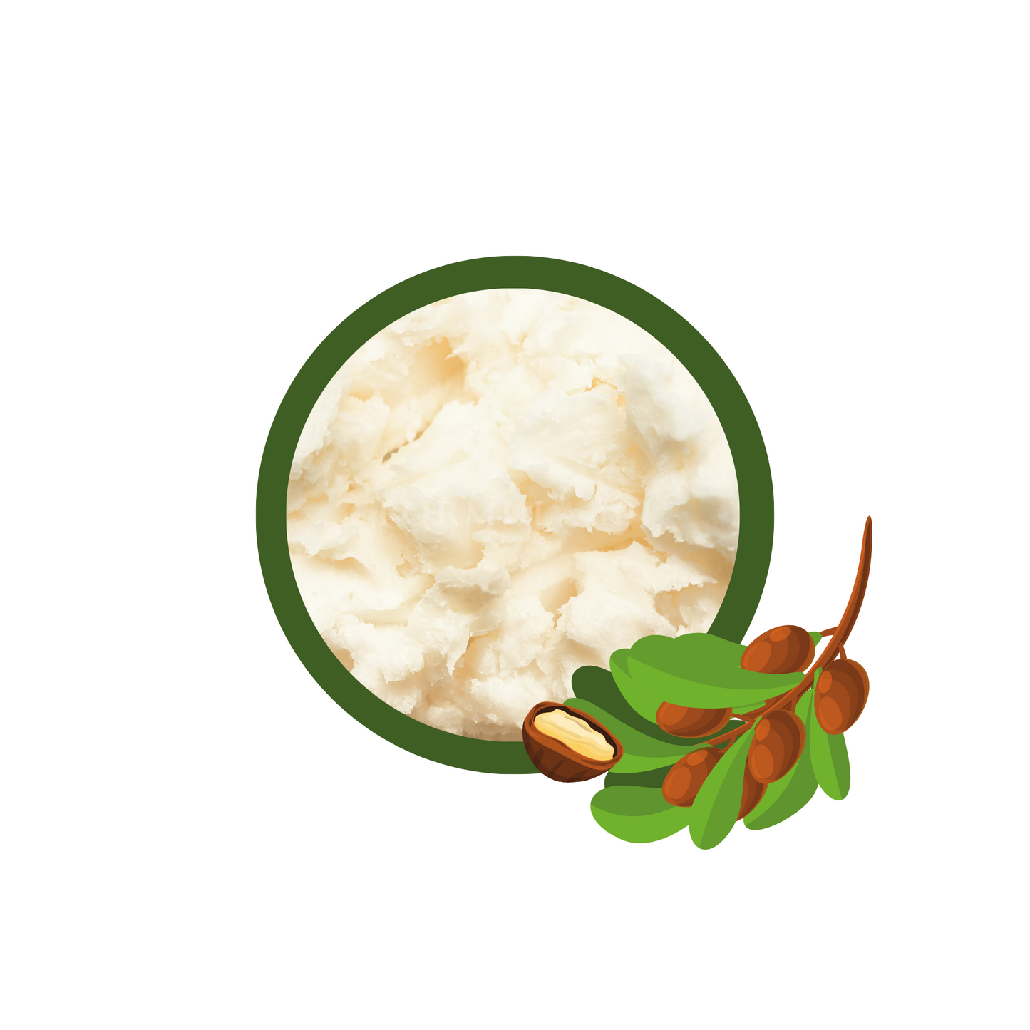 Refined Shea Butter 精製乳木果脂