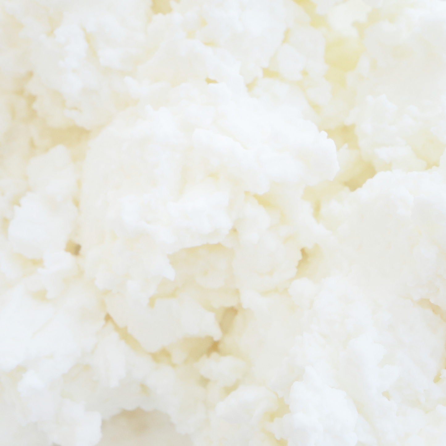 Refined Shea Butter 精製乳木果脂