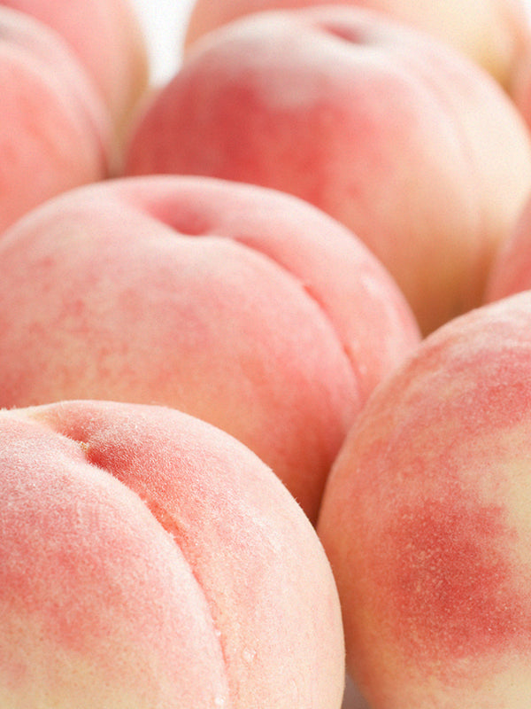 PEACH BASE 桃基底油