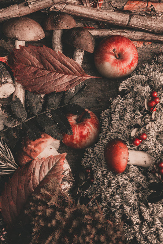 Autumn Leaves & Moss 秋葉和苔蘚