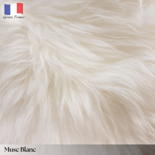 Musc Blanc (White Musk)