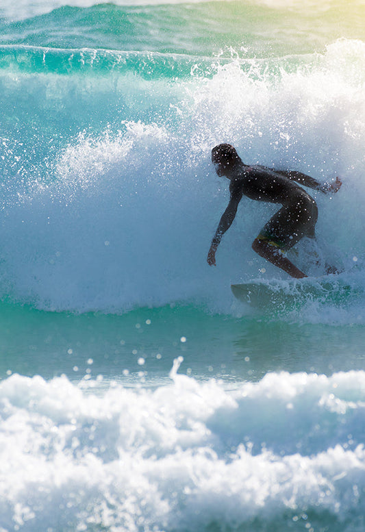 Wind, Waves, Driftwood Surf! 風，浪，漂流木沖浪