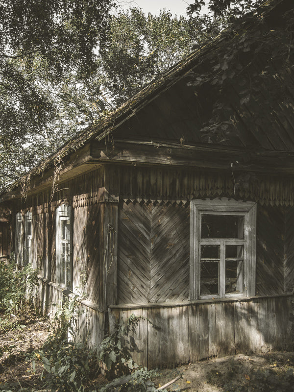 Tree House 森中樹屋 (By Type)