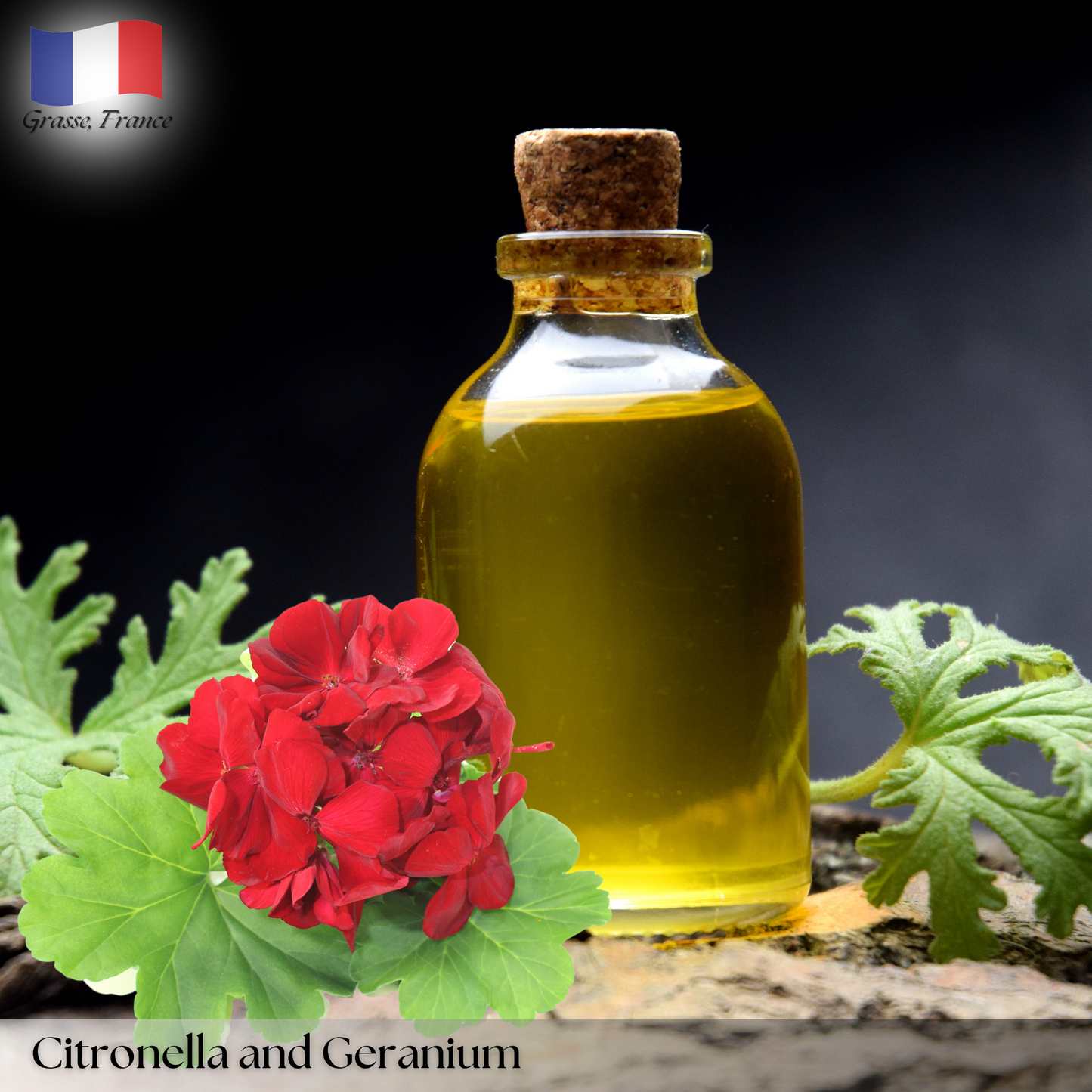 Citronnelle et Géranium (Citronella and Geranium)