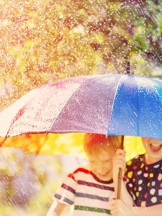 When the Rain Stops 雨後初晴 (MM Type)