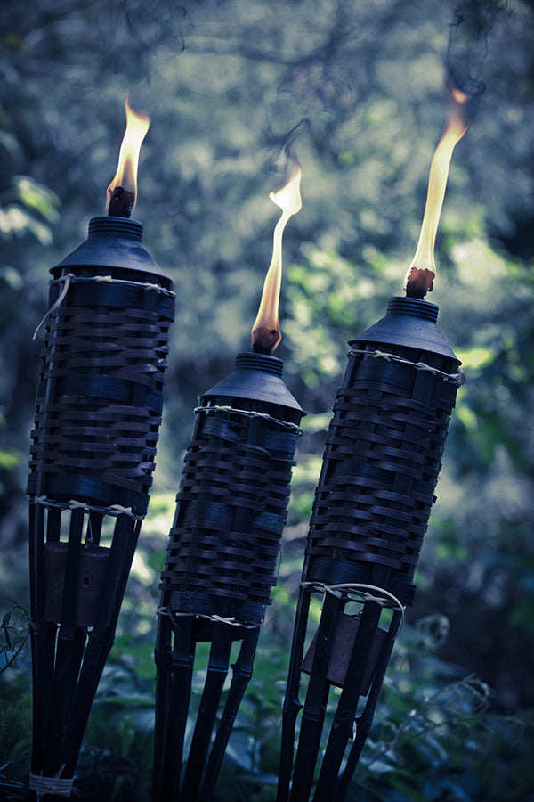 All New Citronella (50% Natural Oil Loaded) 全新香茅油