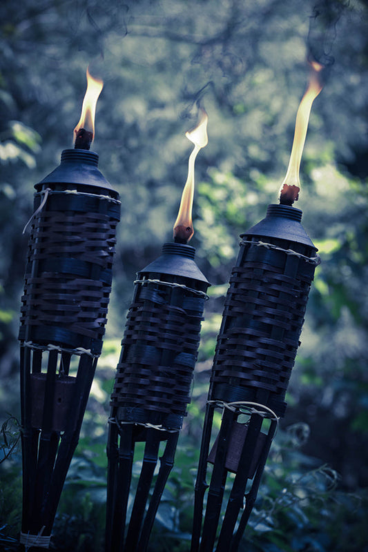 All New Citronella (50% Natural Oil Loaded) 全新香茅油