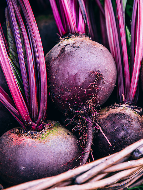 Beetroot 甜菜根 (L Type)