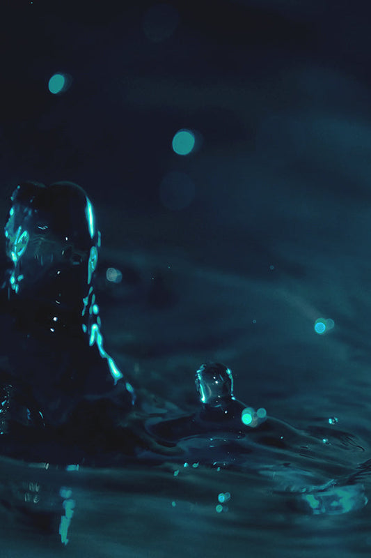 L'eau 盧丹氏之水 (SL Type)