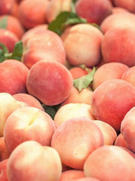 Heavenly Peach 甜桃