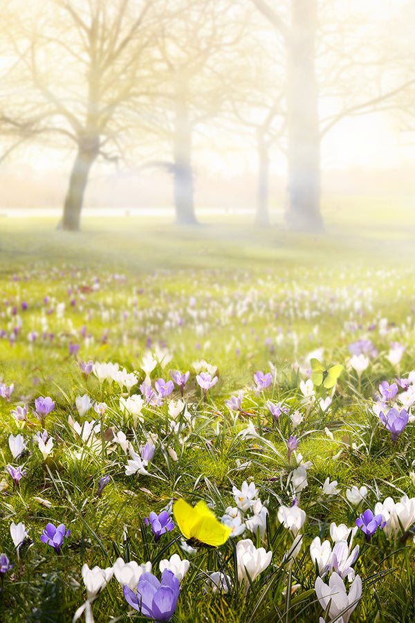 Spring Flower 春天花 (﻿CR Type)