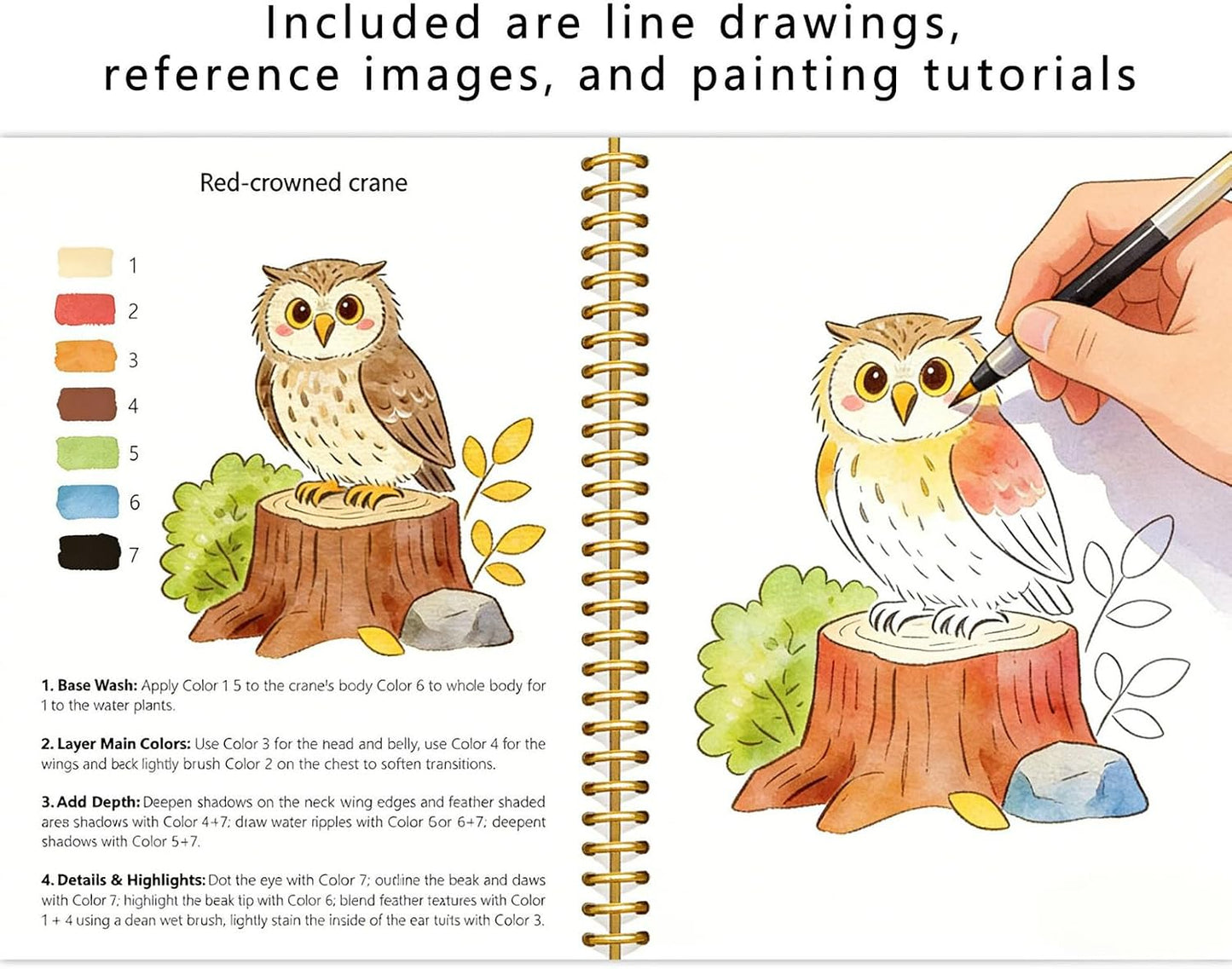 Watercolor Workbook 水彩繪畫教程書