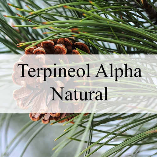 Terpineol Alpha α-松油醇