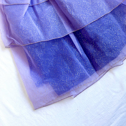 (Pre-loved) Disney Costume Rapunzel Dress 迪士尼長髮公主裙 5/6Y