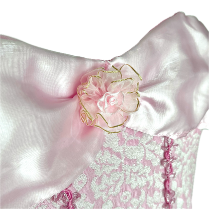 (Pre-loved) Disney BBB Costumes Sleeping Beauty Aurora 迪士尼睡公主愛洛公主裙 7/8 size M