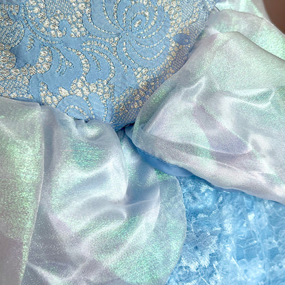 (Pre-loved) Disney BBB Costumes Cinderella 迪士尼灰姑娘公主裙 5/6 size S