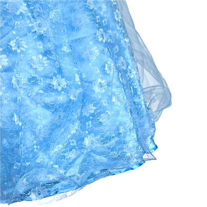(Pre-loved) Disney BBB Costumes Cinderella 迪士尼灰姑娘公主裙 5/6 size S