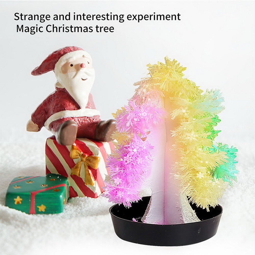 Crystal Growing Experiment Set 水晶培育套裝