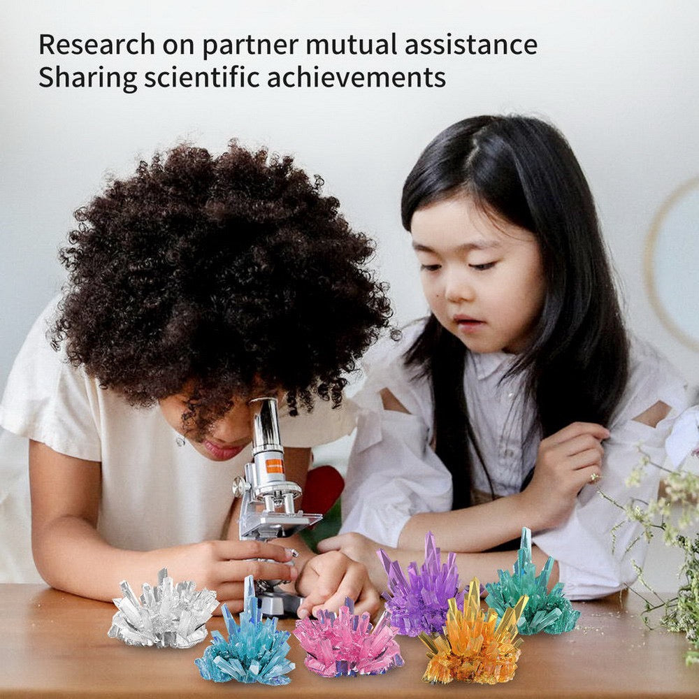 Crystal Growing Experiment Set 水晶培育套裝
