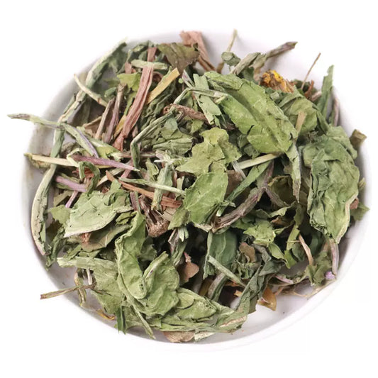 Mongolian Dandelion Herb 蒲公英