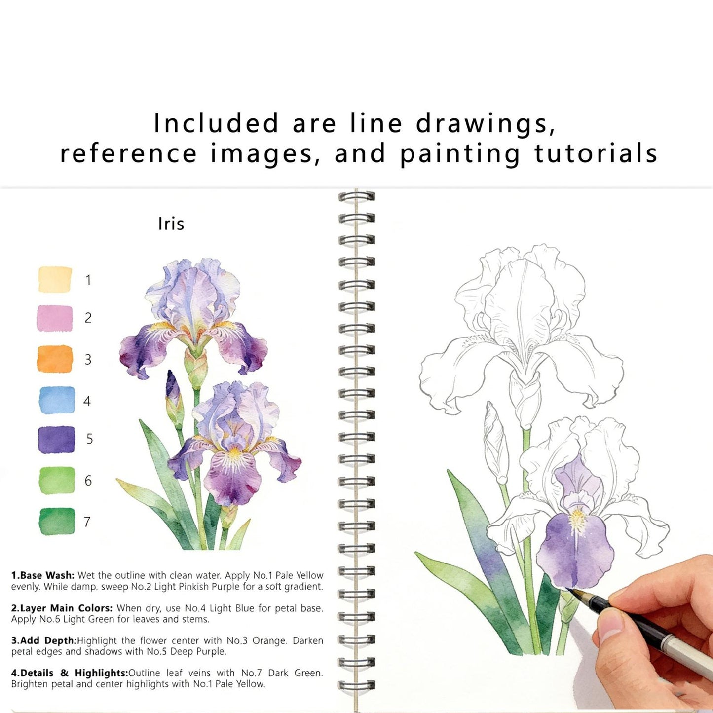 Watercolor Workbook 水彩繪畫教程書
