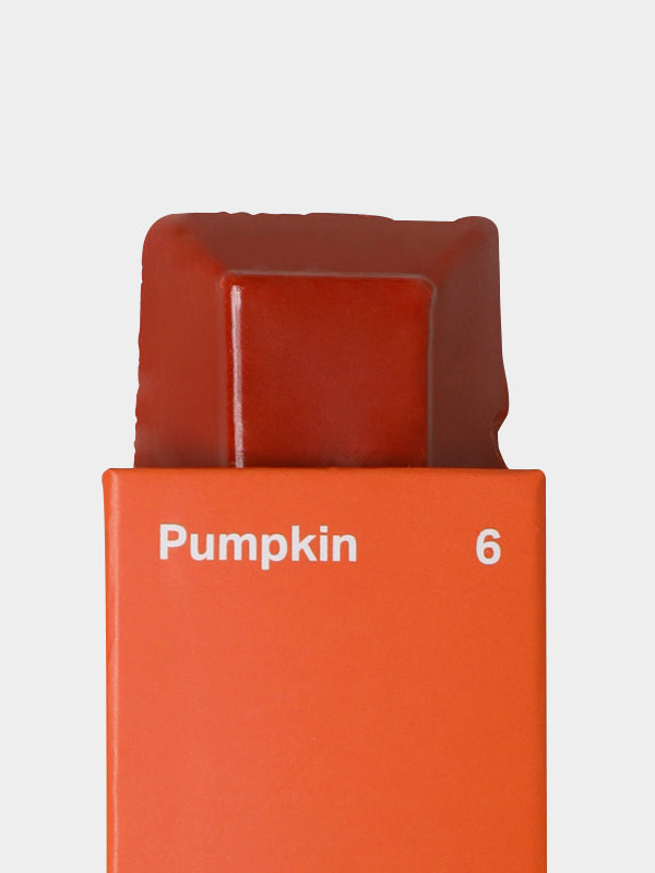 Color Block #06 Pumpkin 南瓜色色塊